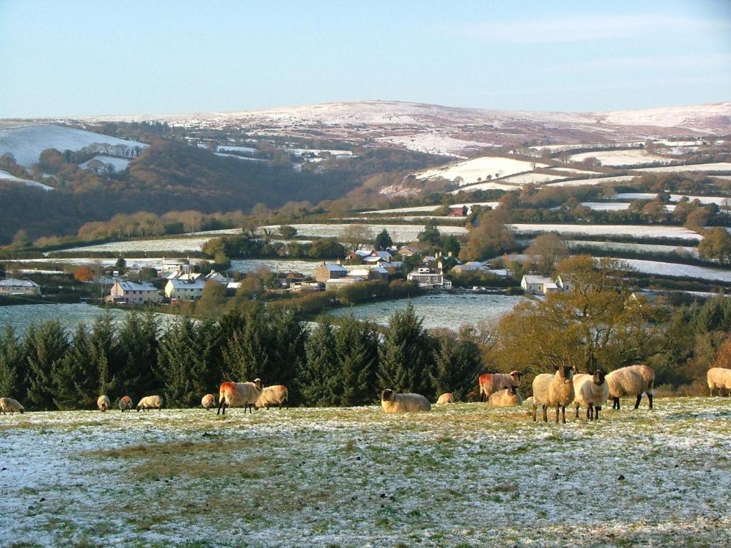 Mitchelcroft Bed and Breakfast Buckfastleigh Eksteriør billede