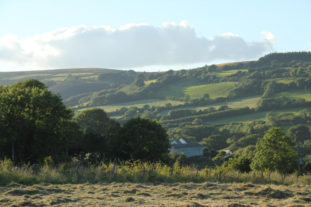 Mitchelcroft Bed and Breakfast Buckfastleigh Eksteriør billede