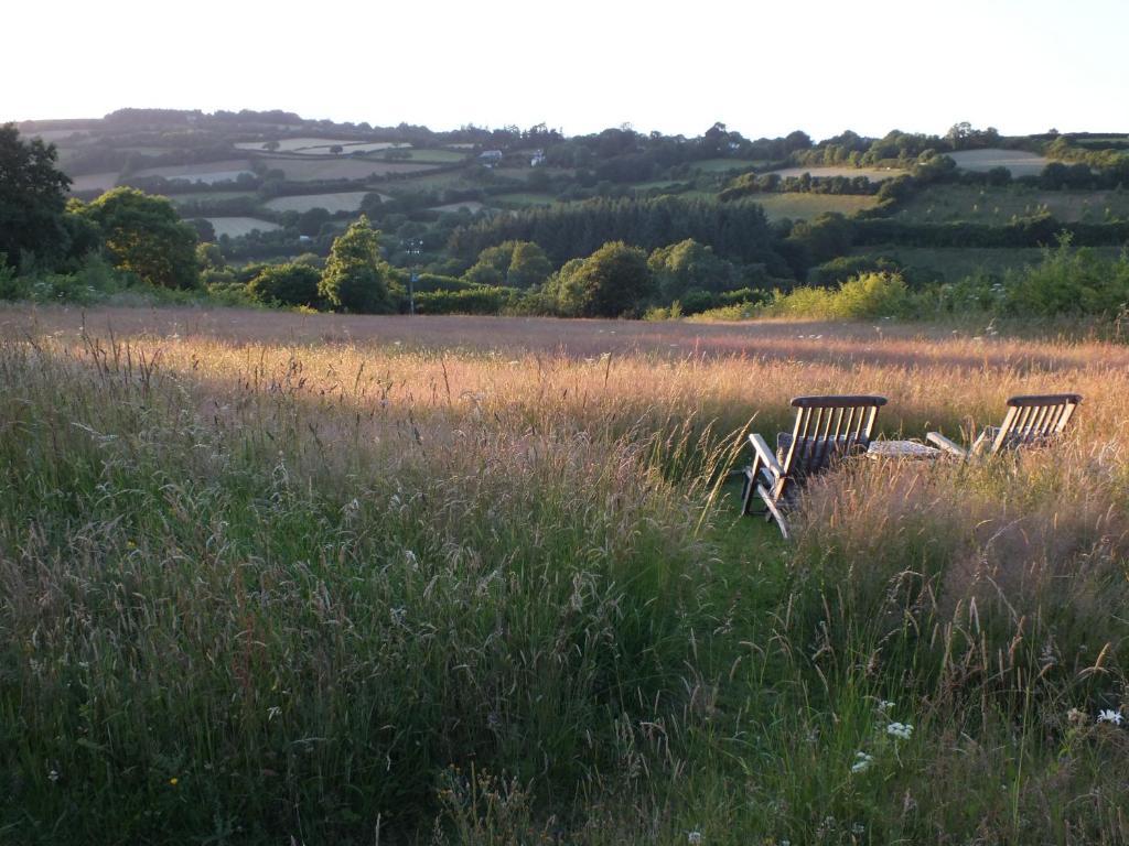 Mitchelcroft Bed and Breakfast Buckfastleigh Værelse billede